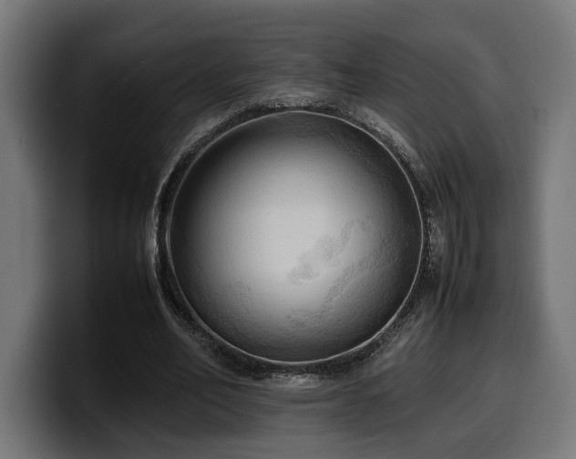 X0000100480582200806131232