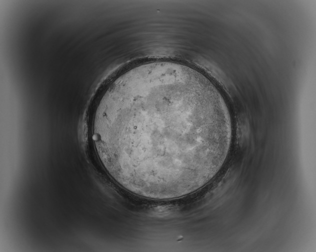 X0000100480584200806131232