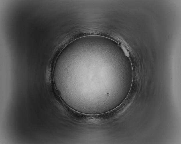 X0000100480585200806131232
