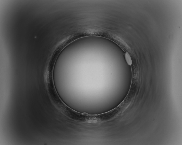 X0000100480587200806131232