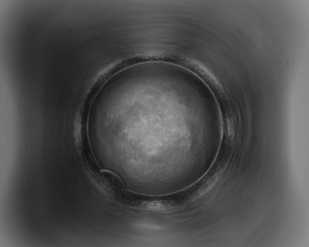 X0000100480588200806131232
