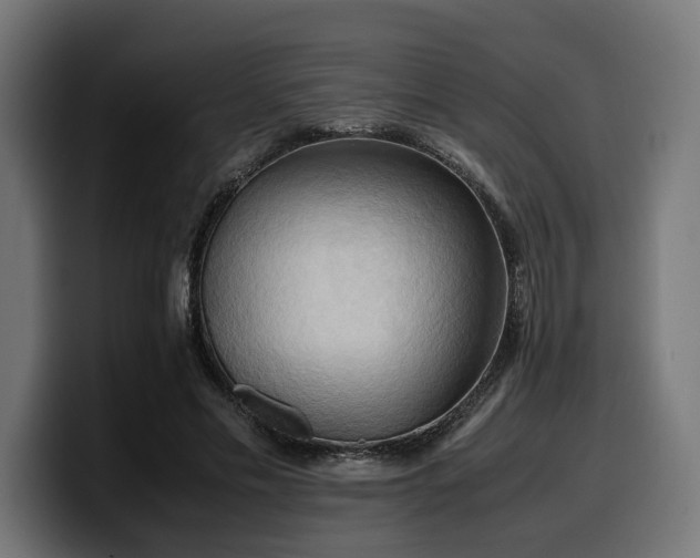 X0000100480589200806131232