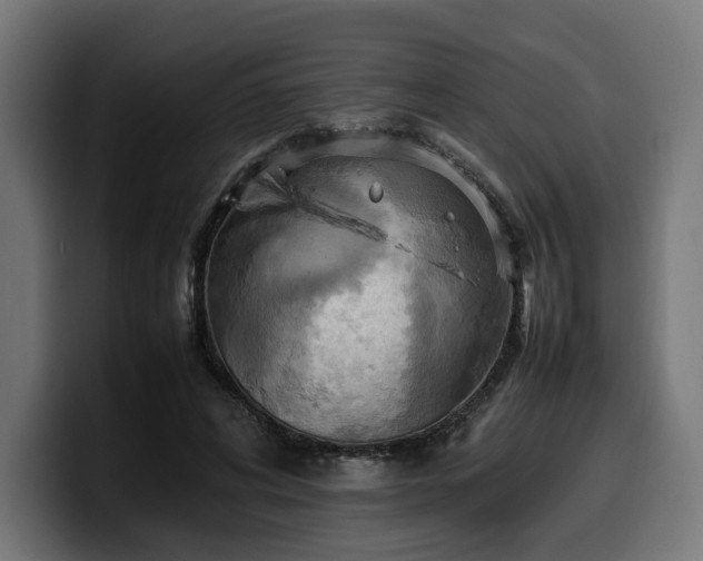 X0000100480592200806131231