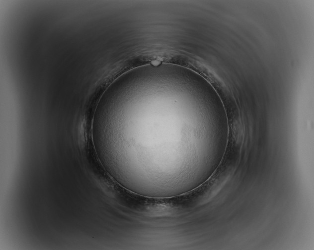 X0000100480594200806131231
