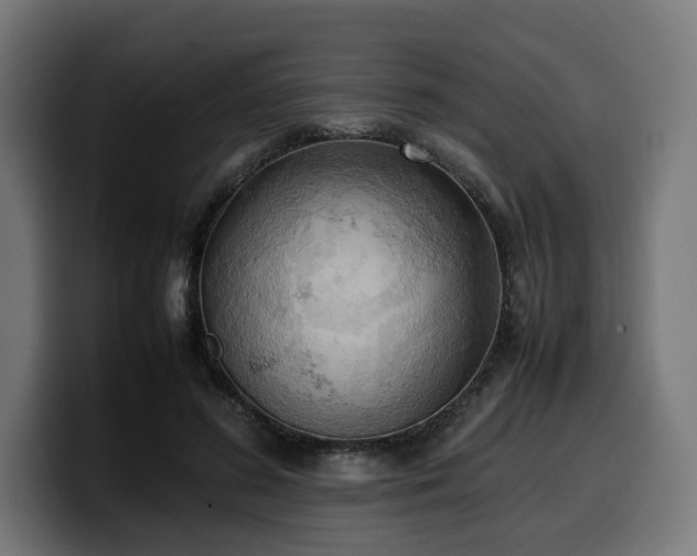 X0000100480596200806131231