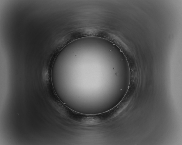 X0000100480597200806131231