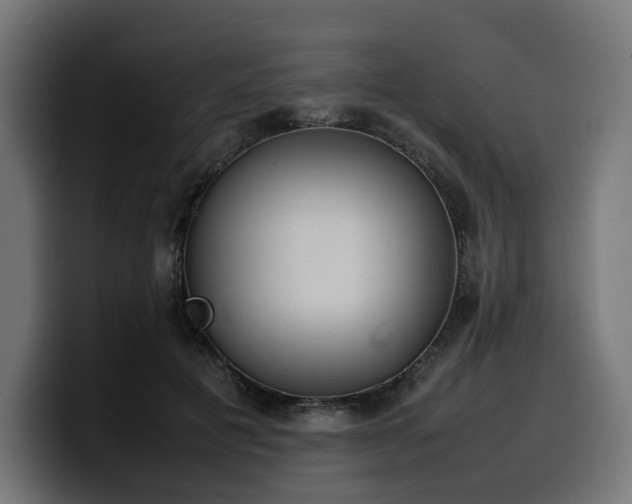 X0000100480601200806131231