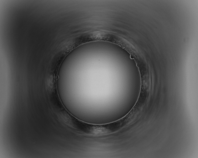 X0000100480605200806131231