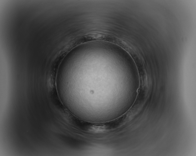 X0000100480606200806131231