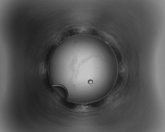 X0000100480607200806131231