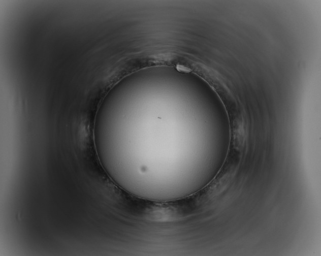 X0000100480608200806131231