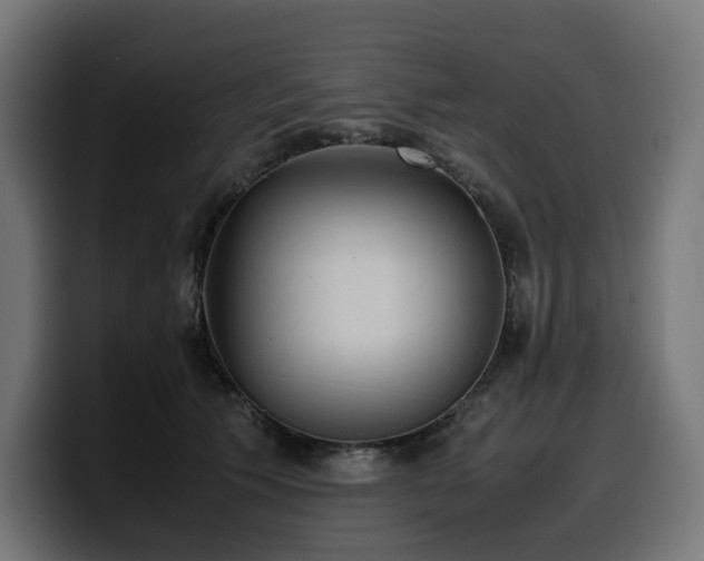 X0000100480609200806131231