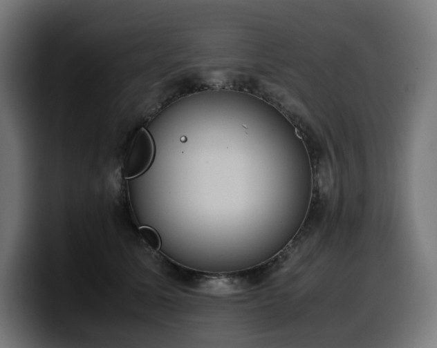 X0000100480611200806131231