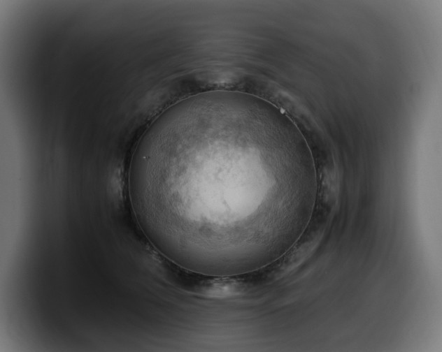 X0000100480612200806131231