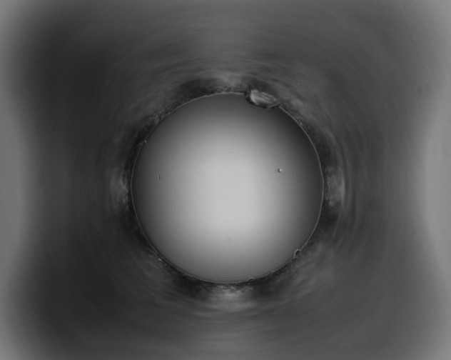 X0000100480613200806131231
