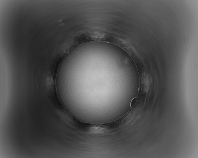 X0000100480614200806131231