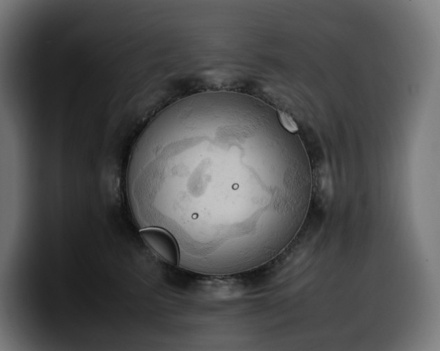 X0000100480615200806131231