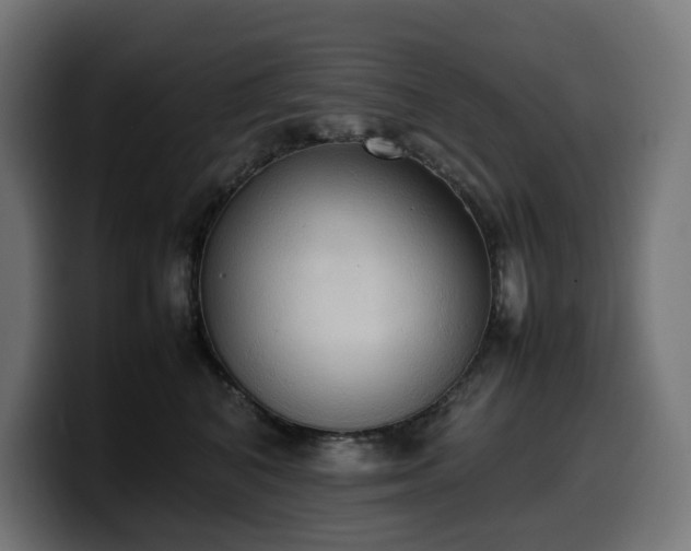 X0000100480616200806131231