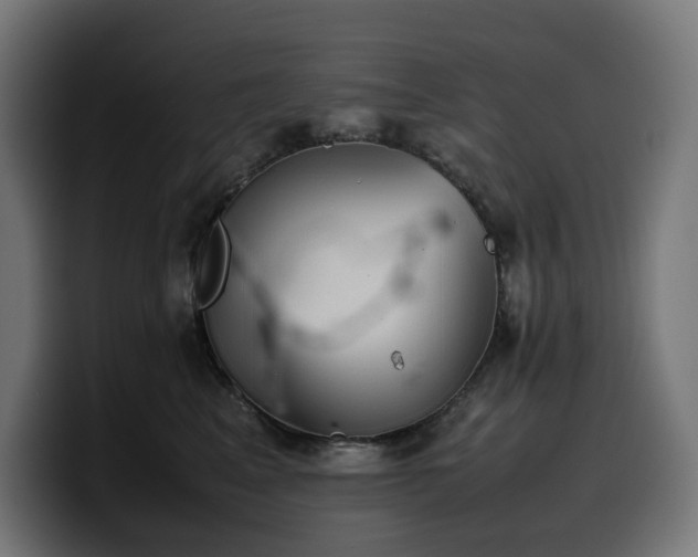 X0000100480617200806131231