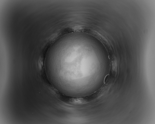 X0000100480618200806131231