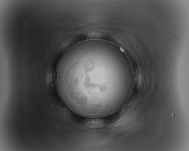 X0000100480619200806131231