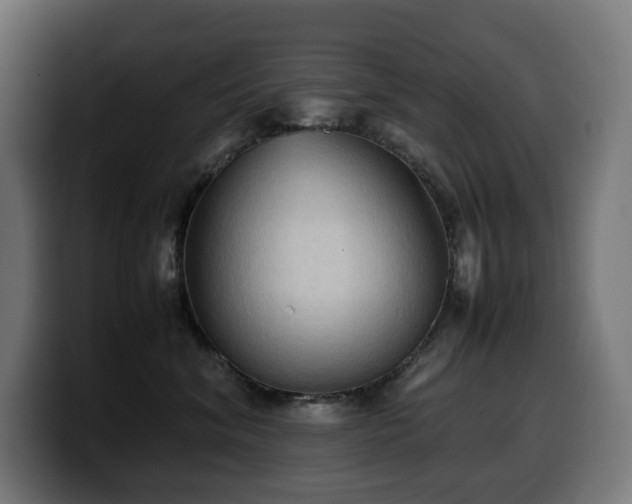 X0000100480620200806131231