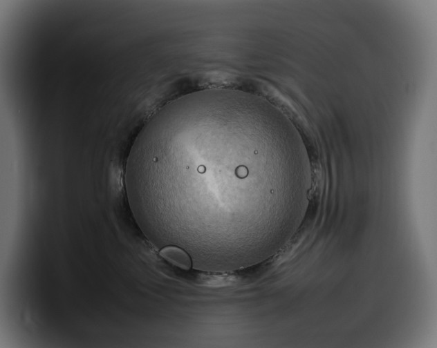 X0000100480621200806131231