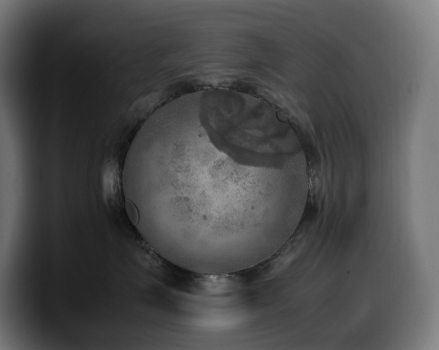 X0000100480623200806131231