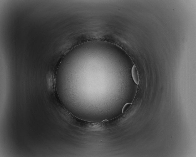 X0000100480624200806131231