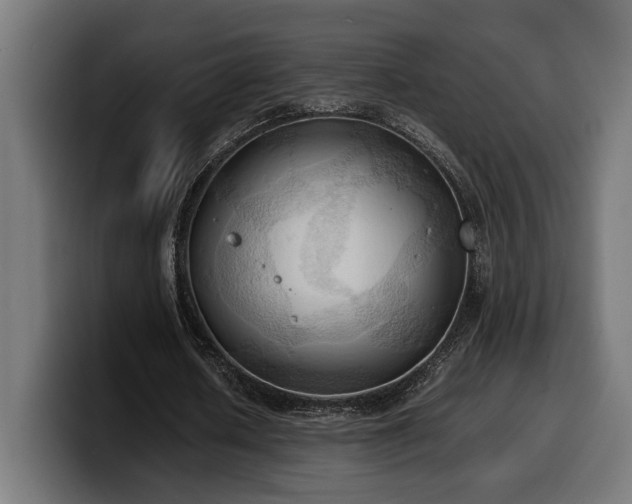X0000100480626200806131230