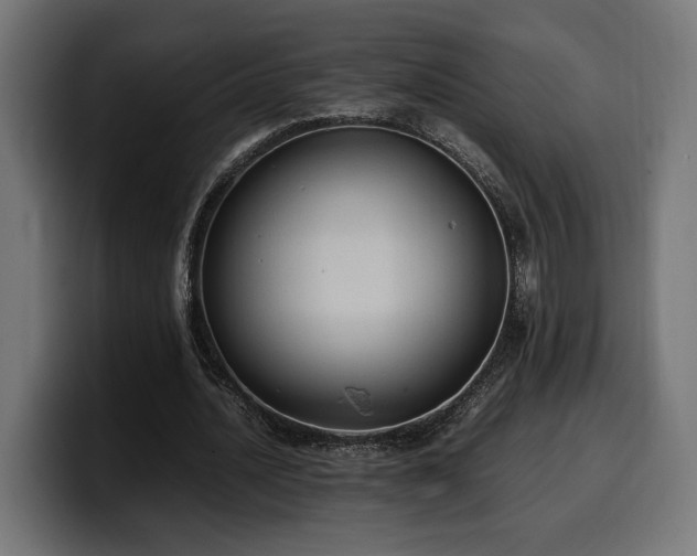 X0000100480628200806131230