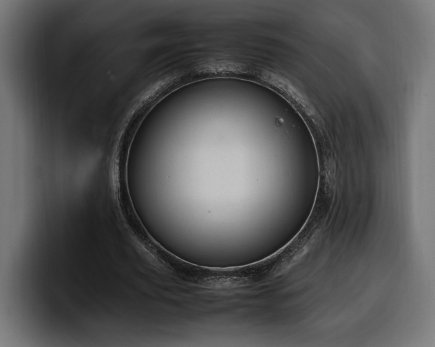 X0000100480629200806131231