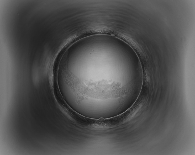 X0000100480630200806131231