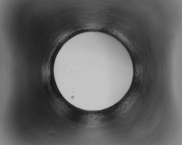 X0000100480632200806131231