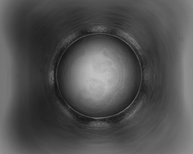 X0000100480633200806131231