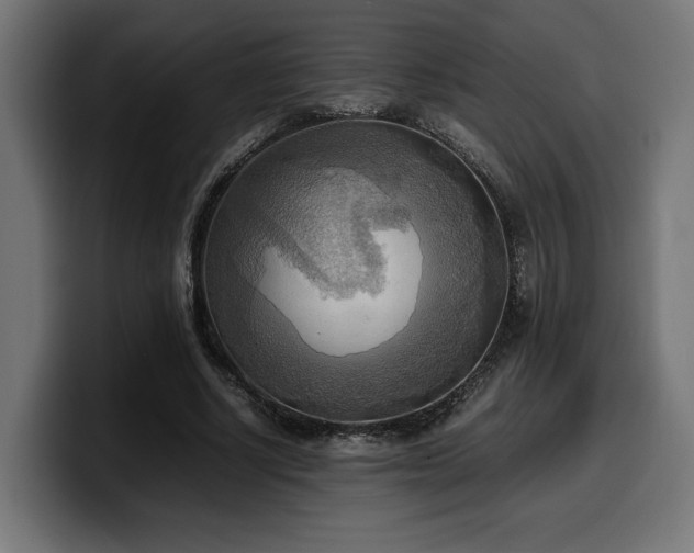 X0000100480634200806131231