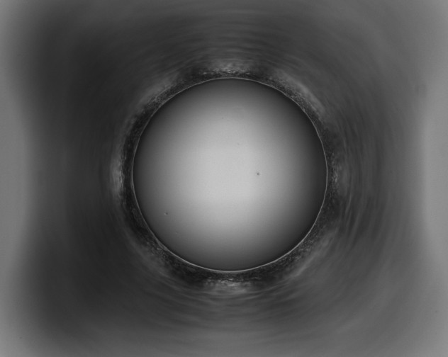 X0000100480635200806131231