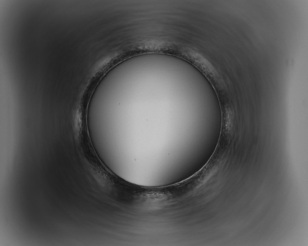 X0000100480636200806131231