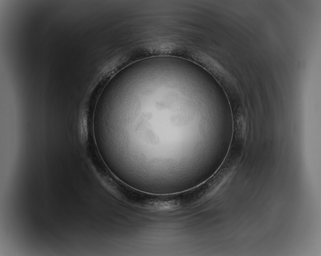 X0000100480638200806131231