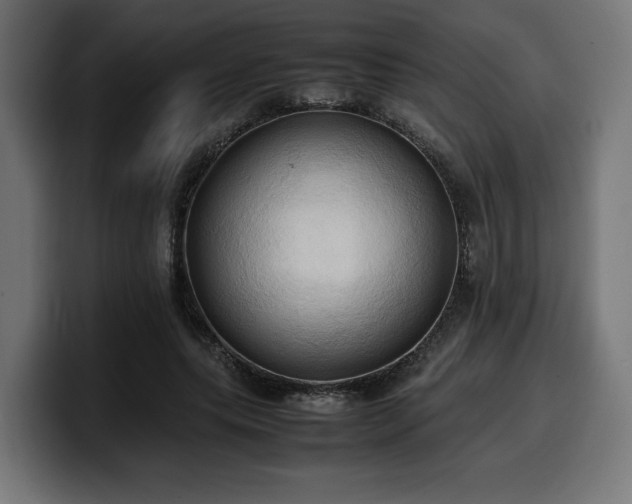 X0000100480639200806131231