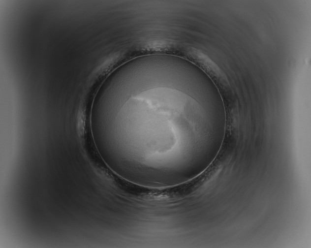 X0000100480640200806131231