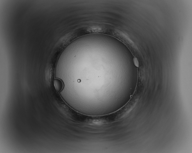 X0000100480645200806131231
