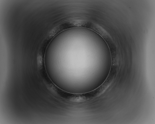 X0000100480646200806131231