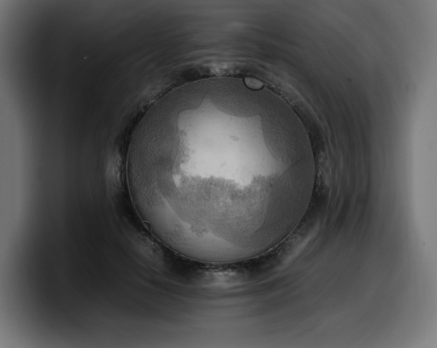 X0000100480650200806131231