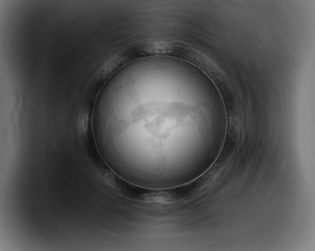 X0000100480652200806131231