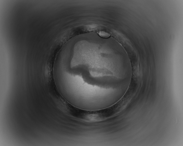 X0000100480653200806131231