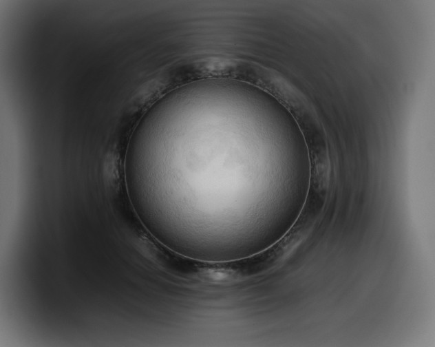 X0000100480654200806131231