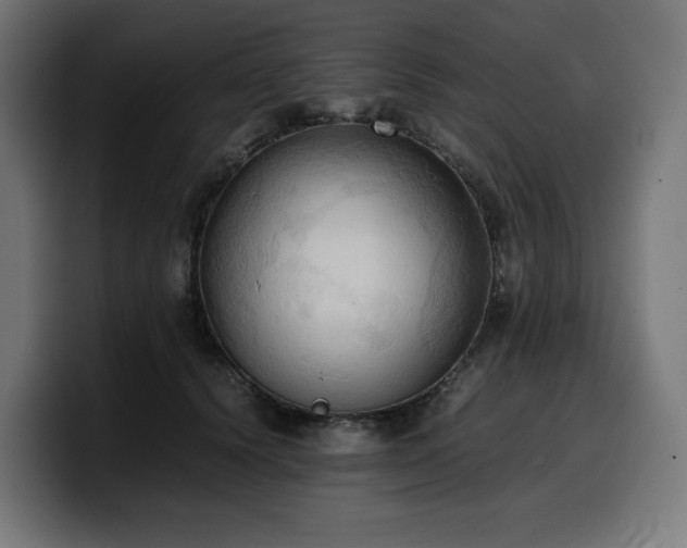X0000100480656200806131231