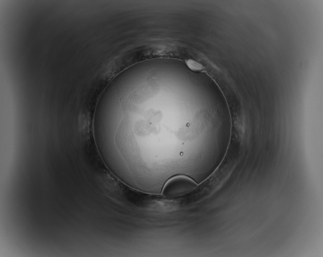 X0000100480657200806131231