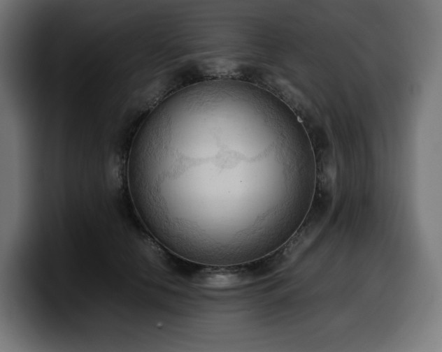 X0000100480658200806131231